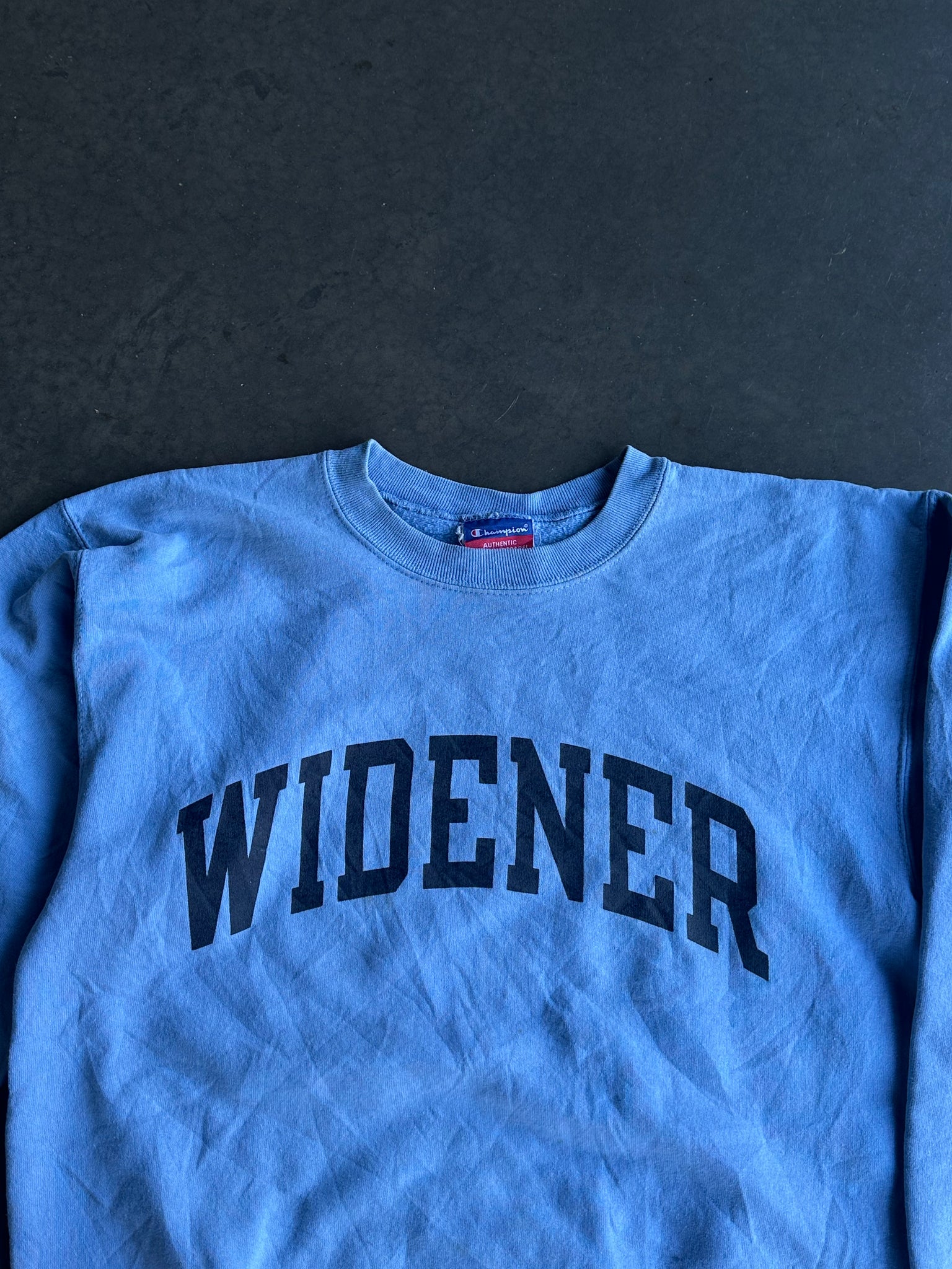 Vintage Widener Champion Sweater L