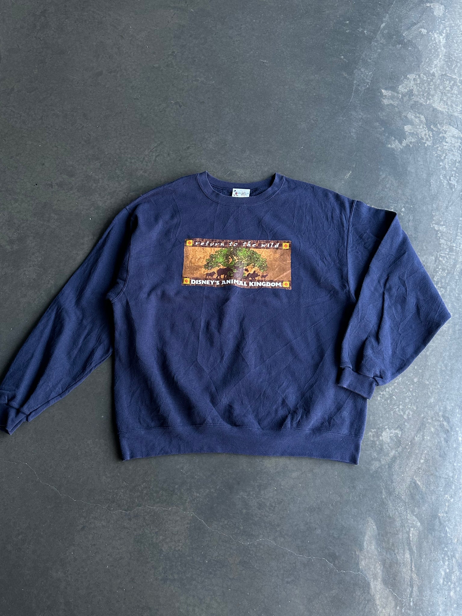 Vintage Disney Animal Kingdom Sweater L