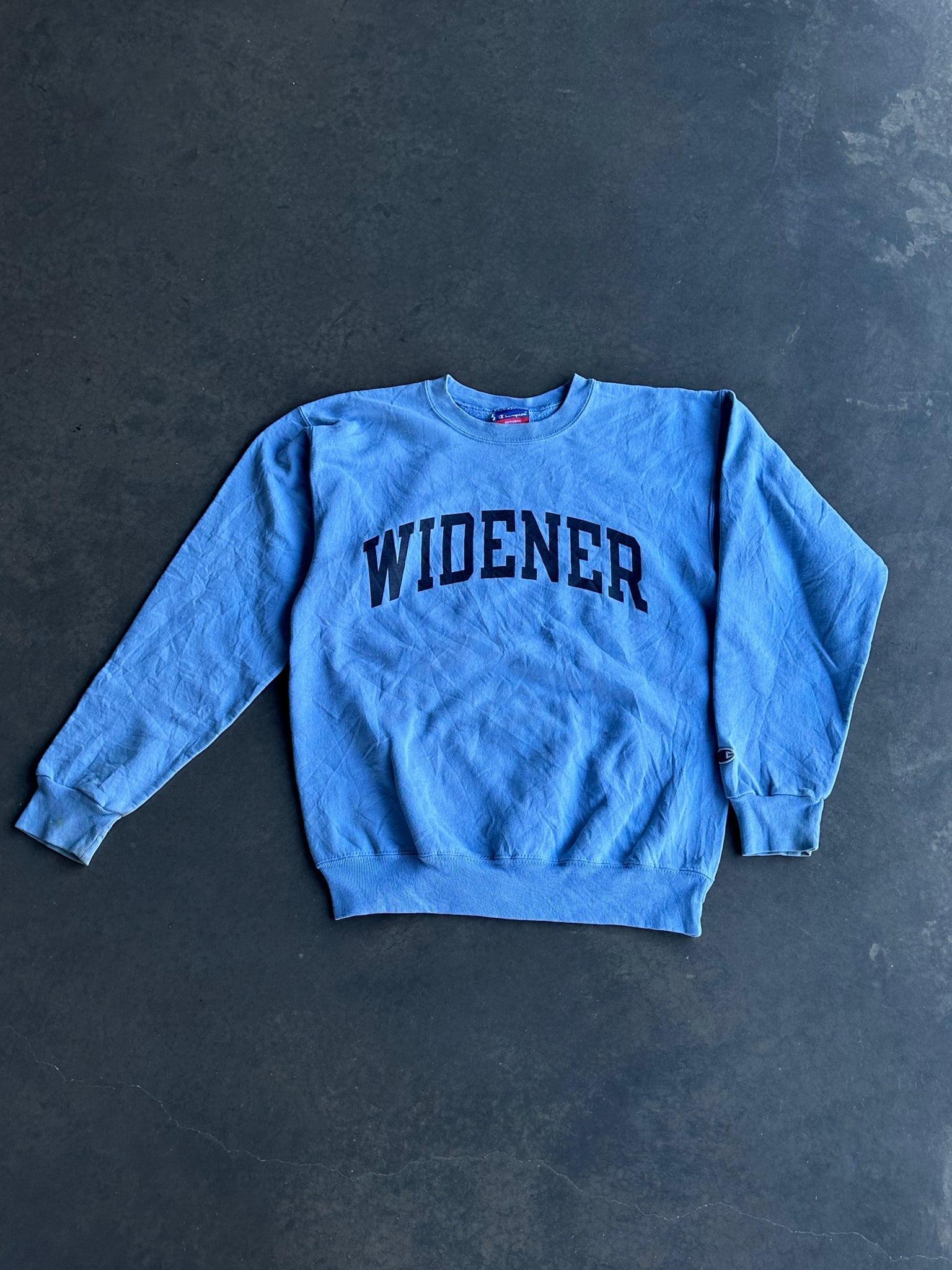 Vintage Widener Champion Sweater L