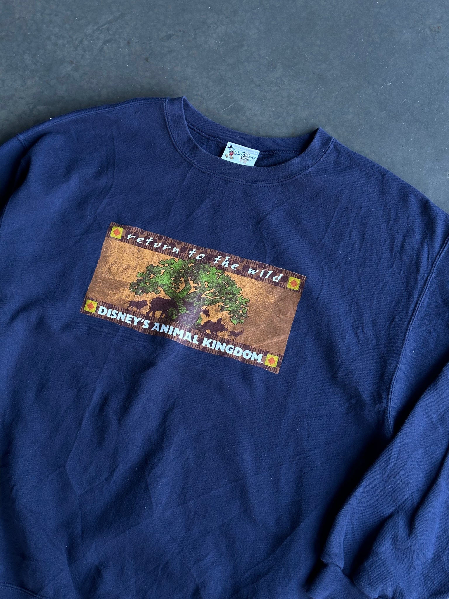 Vintage Disney Animal Kingdom Sweater L