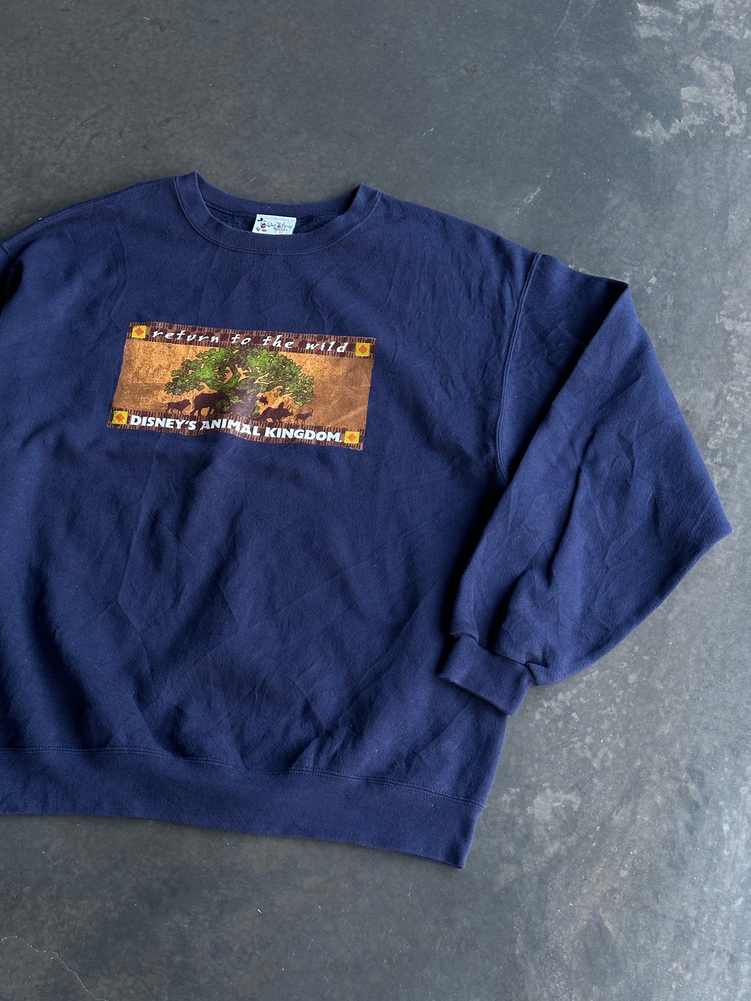Vintage Disney Animal Kingdom Sweater L