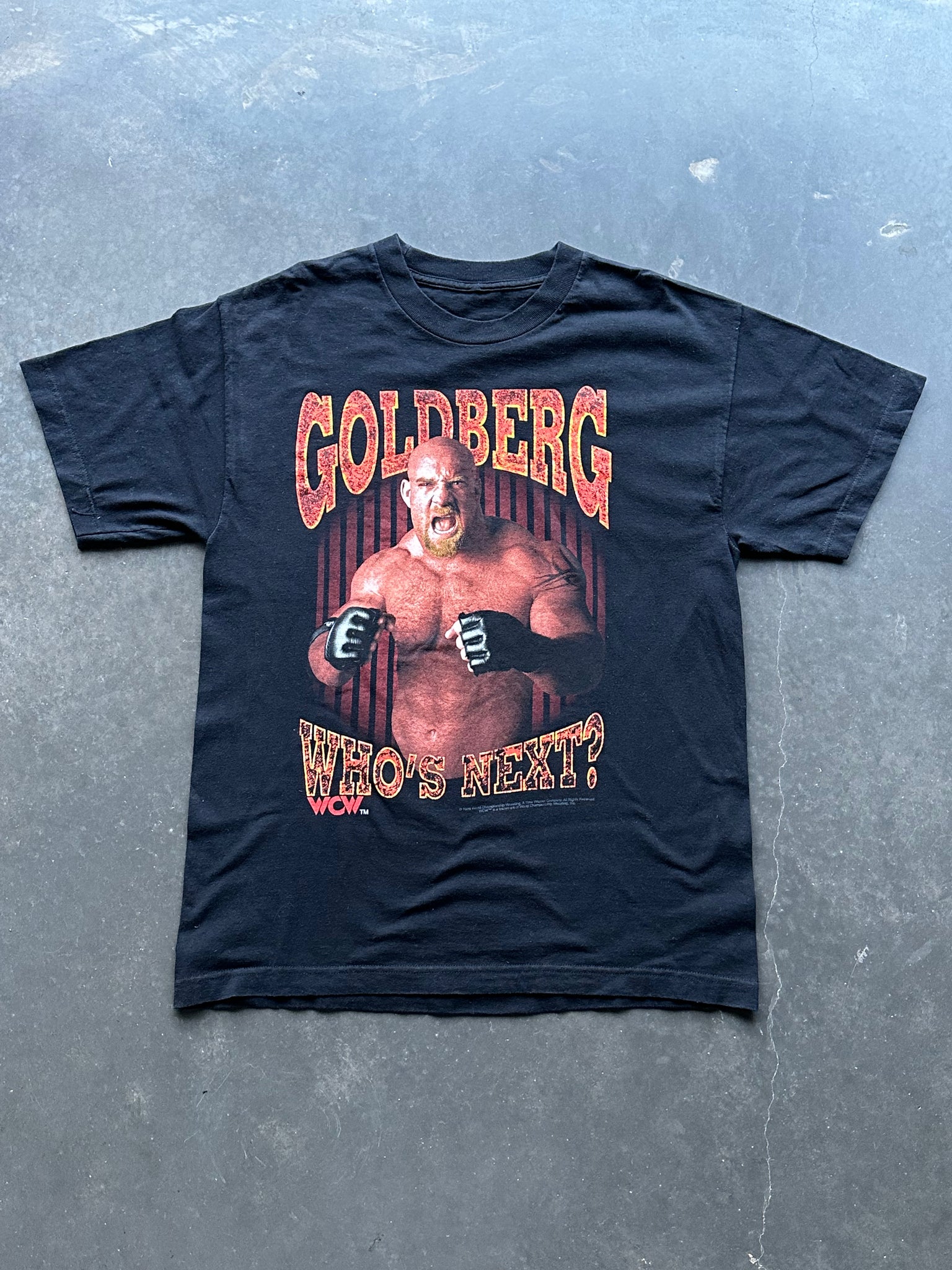 Vintage Goldberg World Championship Tee L