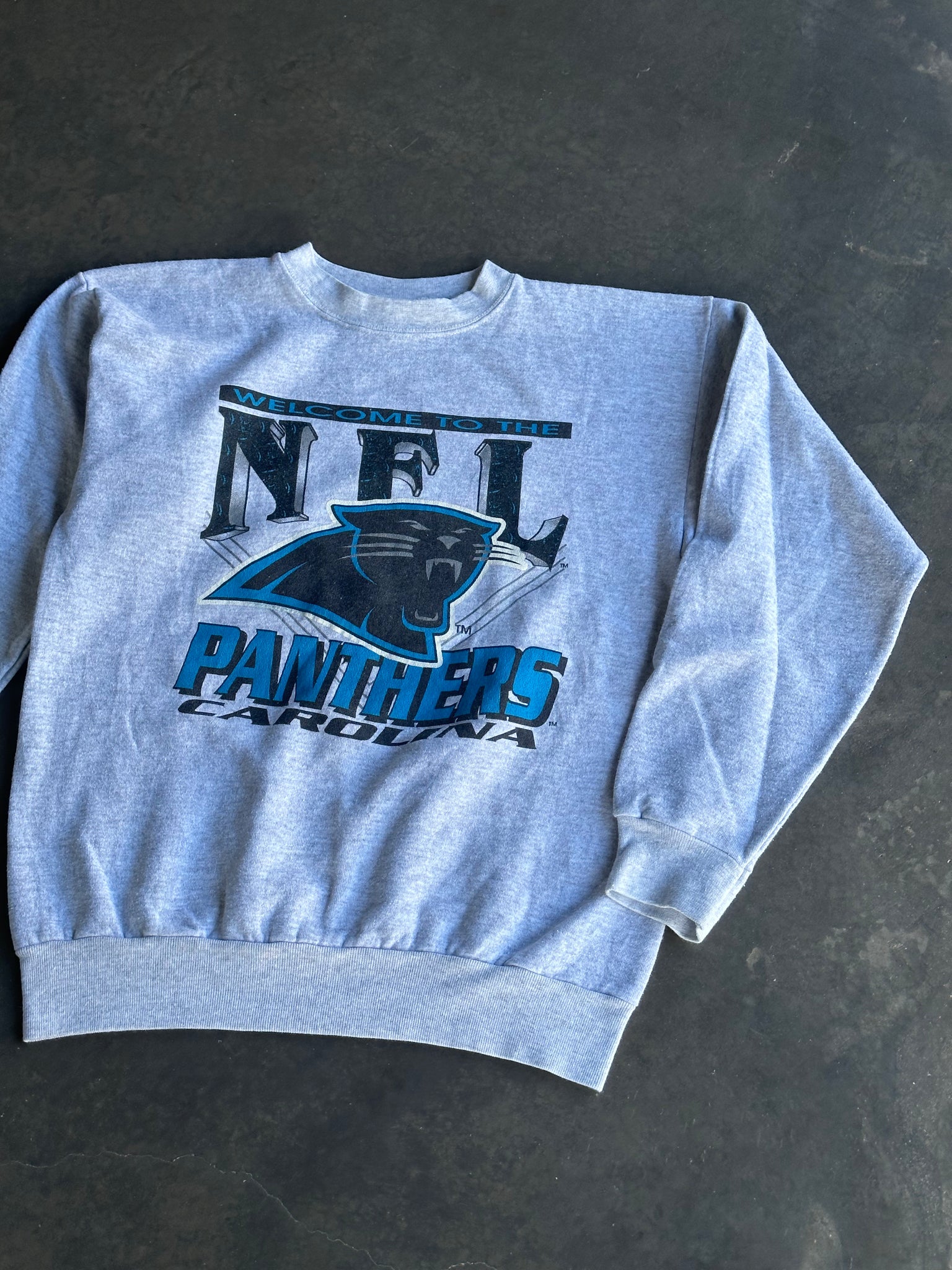 Vintage Panthers NFL Sweater L