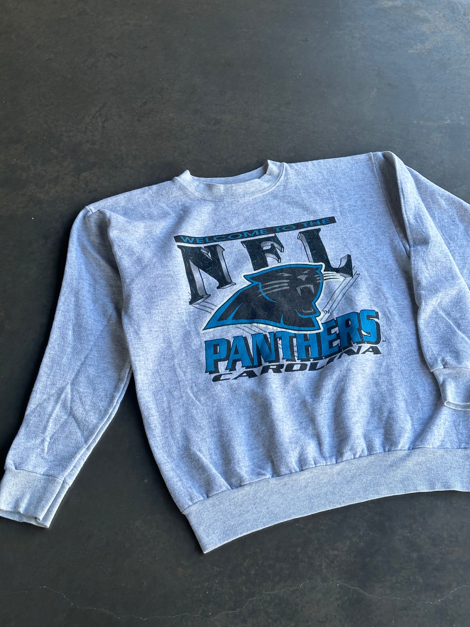 Vintage Panthers NFL Sweater L