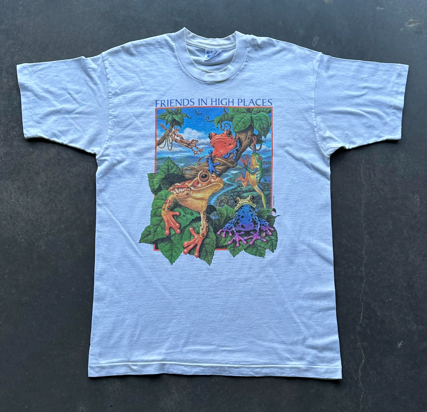 Vintage Friends In High Places Tee L