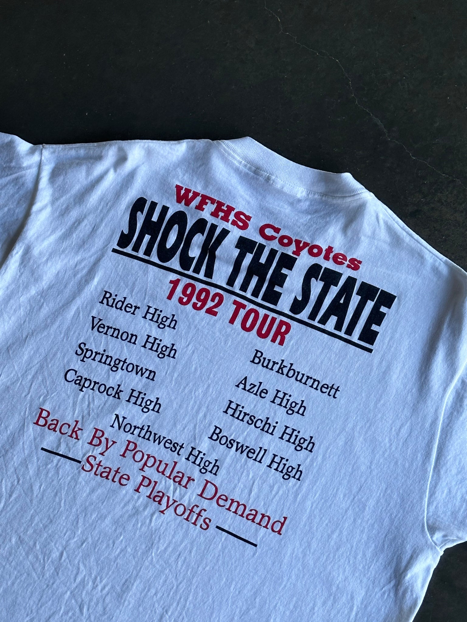 Vintage Shock The State 92' Tee L