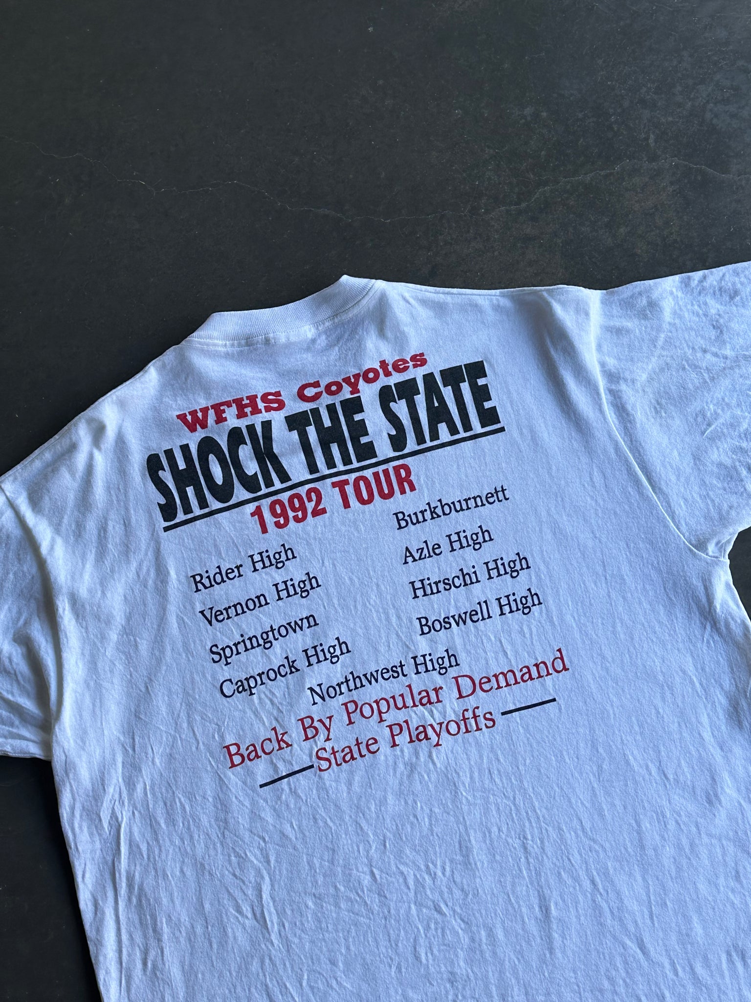 Vintage Shock The State 92' Tee L