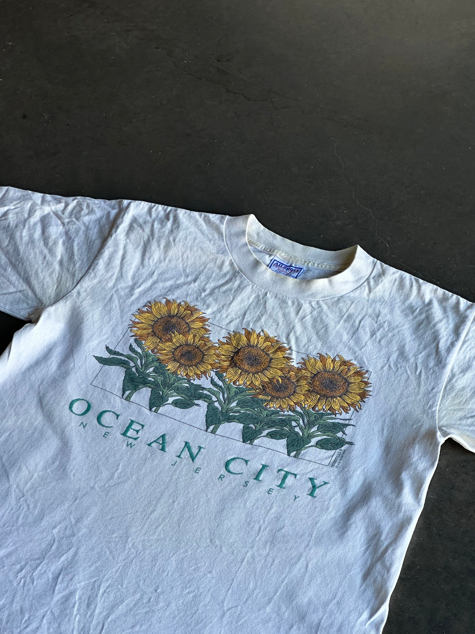 Vintage Ocean City Tee L