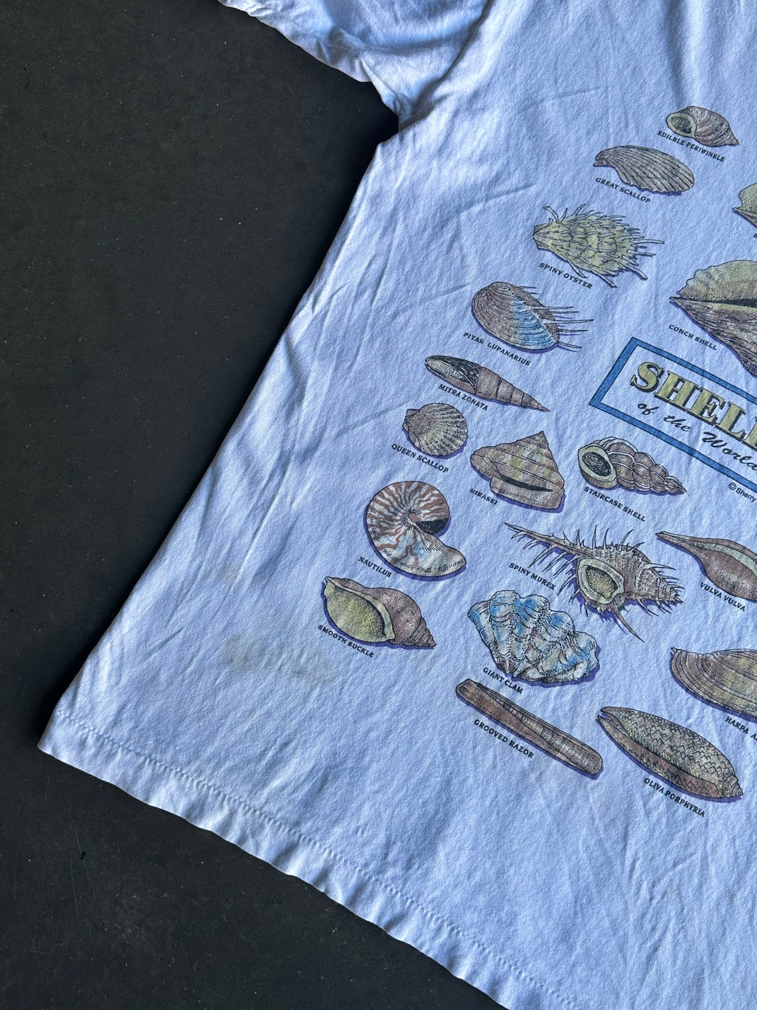 Vintage Shells Tee M