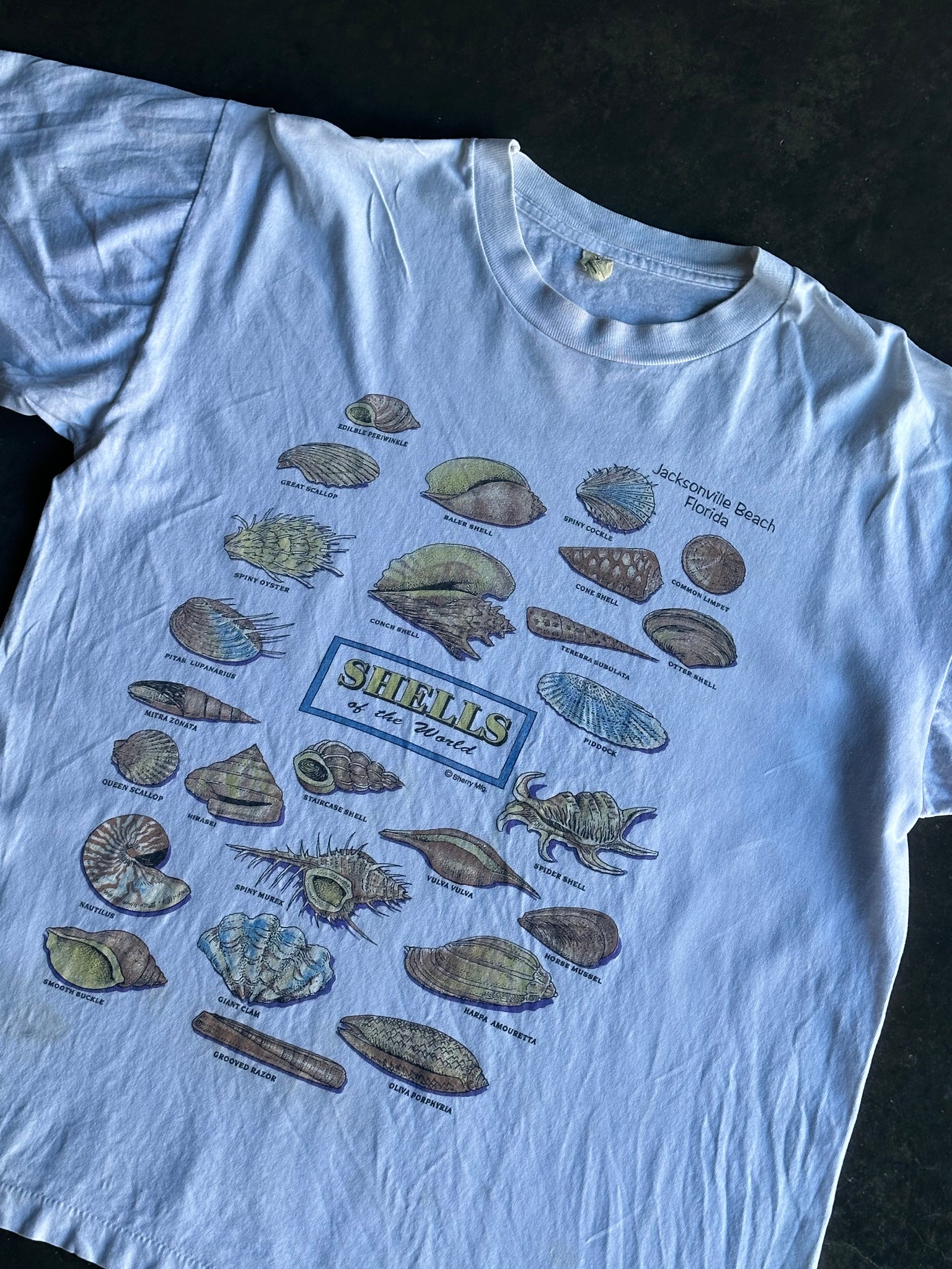 Vintage Shells Tee M