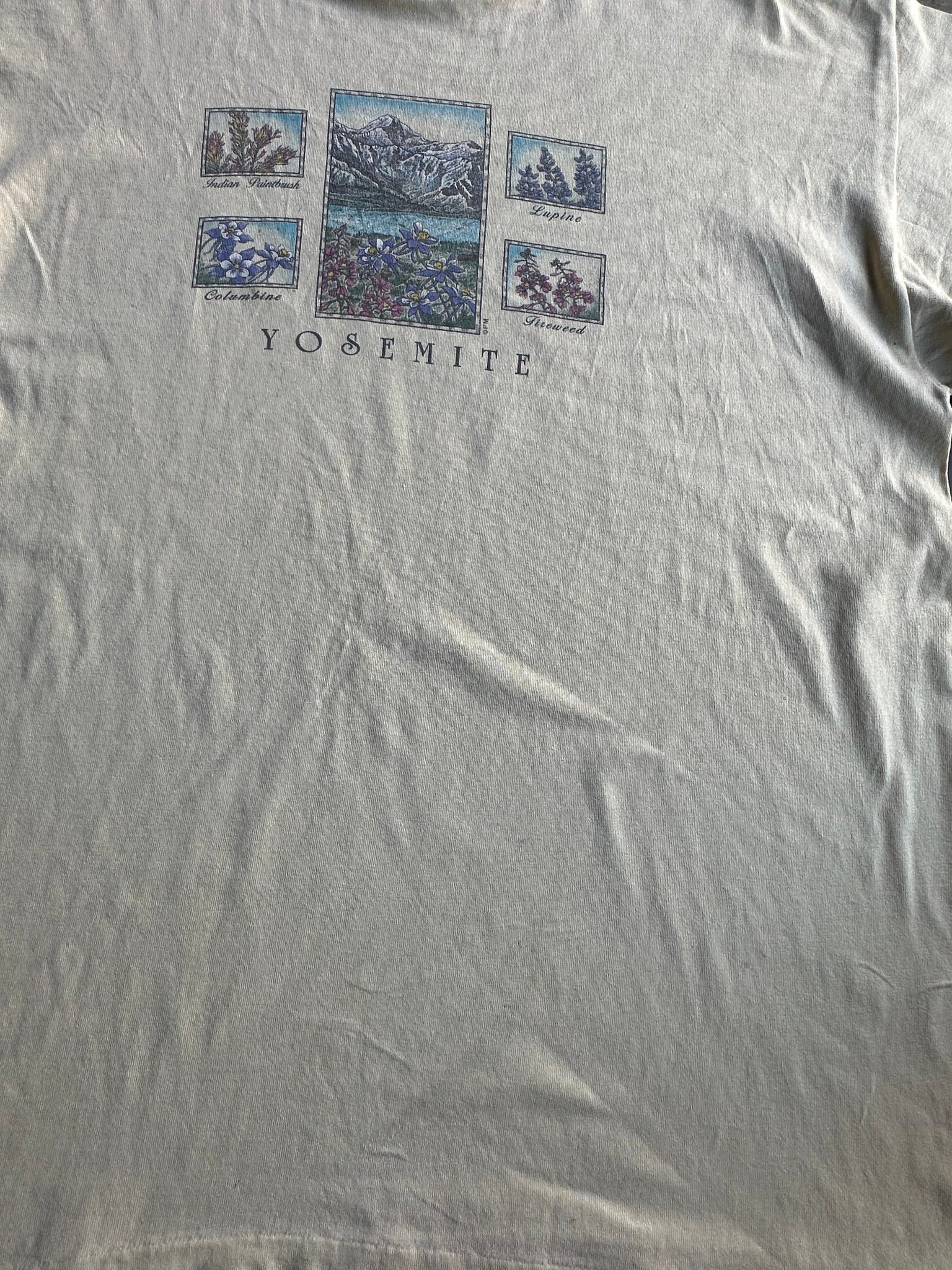 Vintage Yosemite Tee