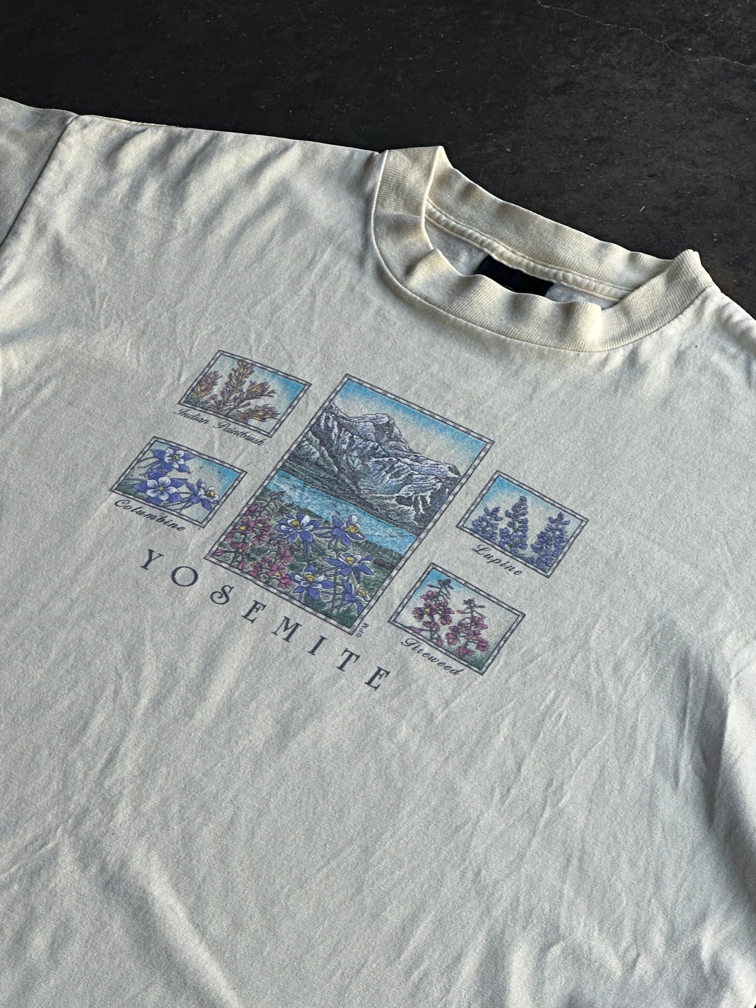 Vintage Yosemite Tee